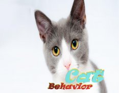 Cat Behavior screenshot 5