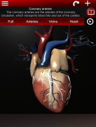 Circulatory System 3D Anatomy screenshot 9