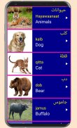 Learn Arabic From English screenshot 0