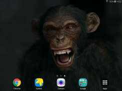 Talking Monkey Live Wallpaper screenshot 12