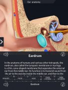 Ear Anatomy Pro. screenshot 7