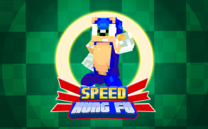 Super Hero Sonic the Hedgehog Skins Blue Speed 3D Kung Fu Battle Games screenshot 0