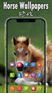 Horse Wallpaper HD 4K Horse backgrounds 2019 screenshot 2