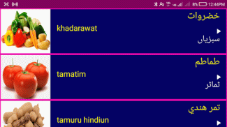 Learn Arabic From Urdu screenshot 8