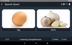 European Spanish Tests screenshot 14