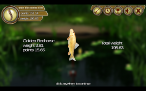 Backwater Fishing screenshot 6