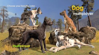 Dog Multiplayer : Great Dane screenshot 0