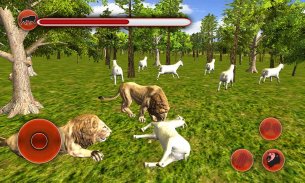 wild lion simulator screenshot 2