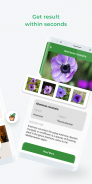 LeafSnap - Plant Identification screenshot 3