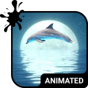 Dolphin Keyboard Wallpaper HD Icon
