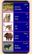 Learn Urdu From English screenshot 2