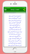 Zauq e Naat Hasan Raza ذوق نعت screenshot 10