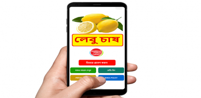লেবু চাষ ~ Lemon Cultivation