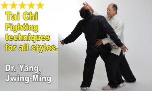Tai Chi Martial Applications screenshot 9
