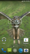 Flying Owl Live Wallpaper screenshot 0