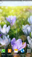 Spring Flower Live Wallpaper screenshot 8