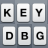 KeyCode Display for Developer