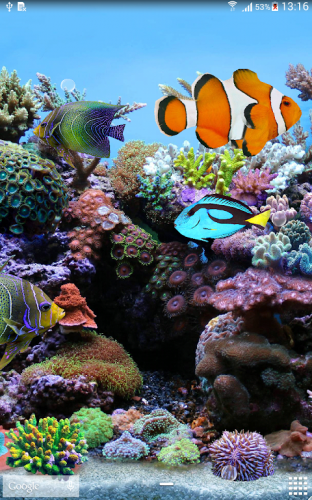 Coral Reef Aquarium 3d Animated Wallpaper Image Num 89
