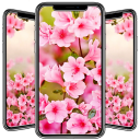 Spring Wallpaper Icon