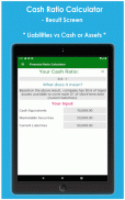 Financial Ratio Calculator screenshot 11