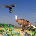 Eagle Simulator Game 3D Icon