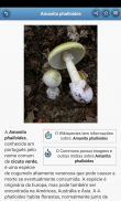 Cogumelos screenshot 2