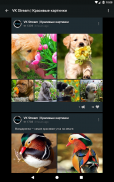 VK Stream для ВКонтакте screenshot 5