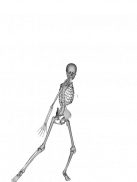 Dancing Bones screenshot 5