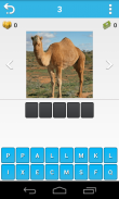 Animal Quiz screenshot 1