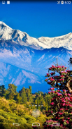 Nepal Live Wallpaper screenshot 1