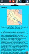 History of Ancient Mesopotamia screenshot 5