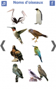 les noms des oiseaux avec photos et bruit oiseau screenshot 0