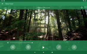 Relájese Bosque ~ Sonidos de la naturaleza screenshot 6