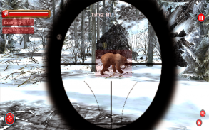 Sniper Animal Shooting 3D screenshot 3