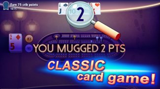 Ultimate Cribbage - Classic Card Game screenshot 3