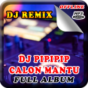 DJ Pipipi Calon Mantu Remix Offline Full Bass - Baixar APK para Android | Aptoide