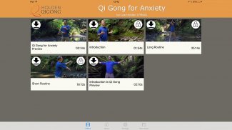 Qi Gong for Anxiety screenshot 8