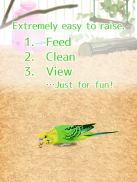 治愈的鹦鹉育成游戏 screenshot 4