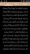 Ik Larki Pagal Si by Arzu Parishy Khan - Offline screenshot 2