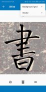 Chinese Calligraphy screenshot 0