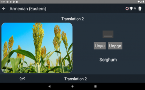 Armenian Language Tests screenshot 20
