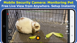 Câmera de segurança móvel(FTP) screenshot 5