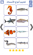 أنواع الأسماك و صور أسماك screenshot 7