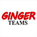 Ginger Teams Icon