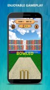 Bowled 3D - Cricket Game screenshot 1
