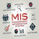 Management Information System(MIS) Icon