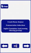 Learn French Basics screenshot 1
