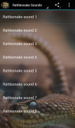 Rattlesnake Sounds screenshot 0