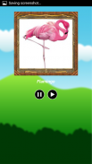 Birds & Animal Sounds screenshot 5