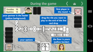 Partnership Dominoes screenshot 13